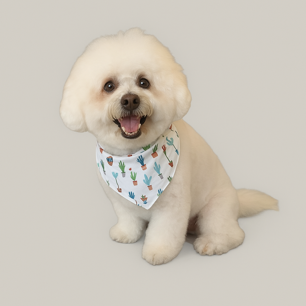 Southern Paws Dog Grooming & Spa in Ringgold, GA (2)