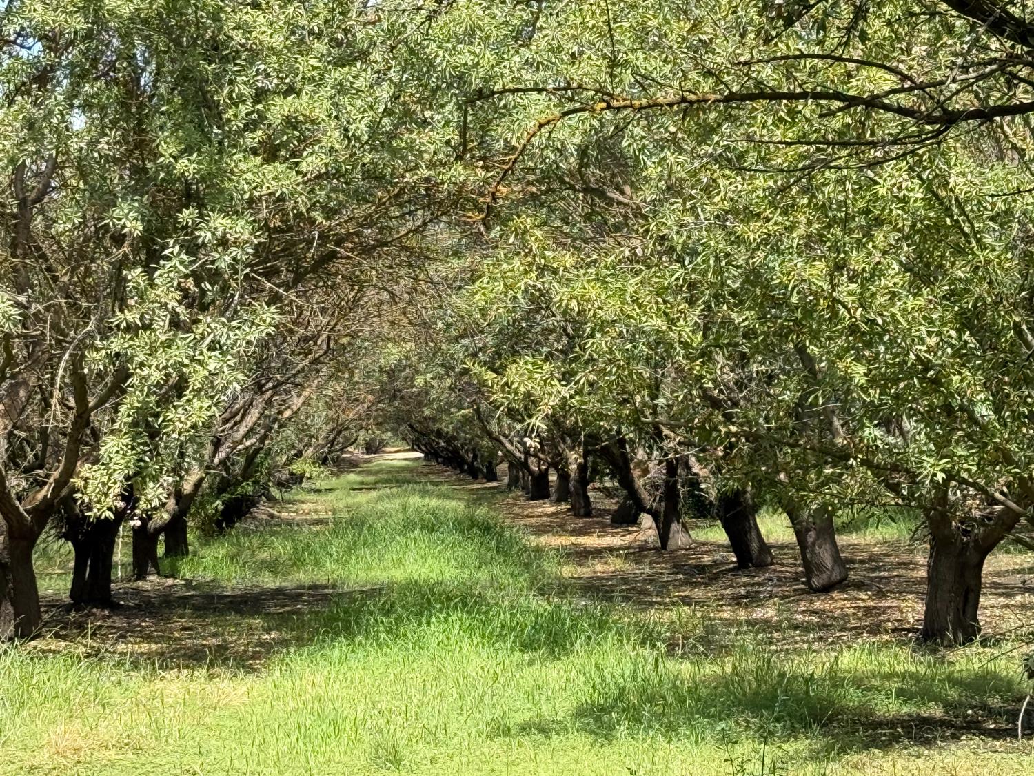 Premier California Properties in Oakdale, CA