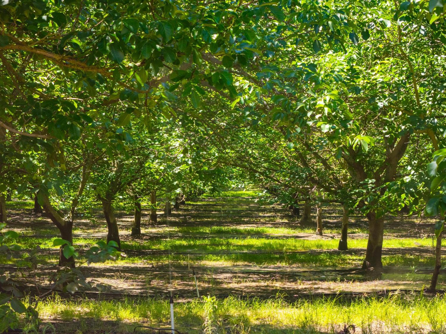 Premier California Properties in Oakdale, CA (2)