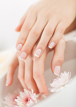 Envy Premier Nail Spa in Pittsburgh, PA (4)