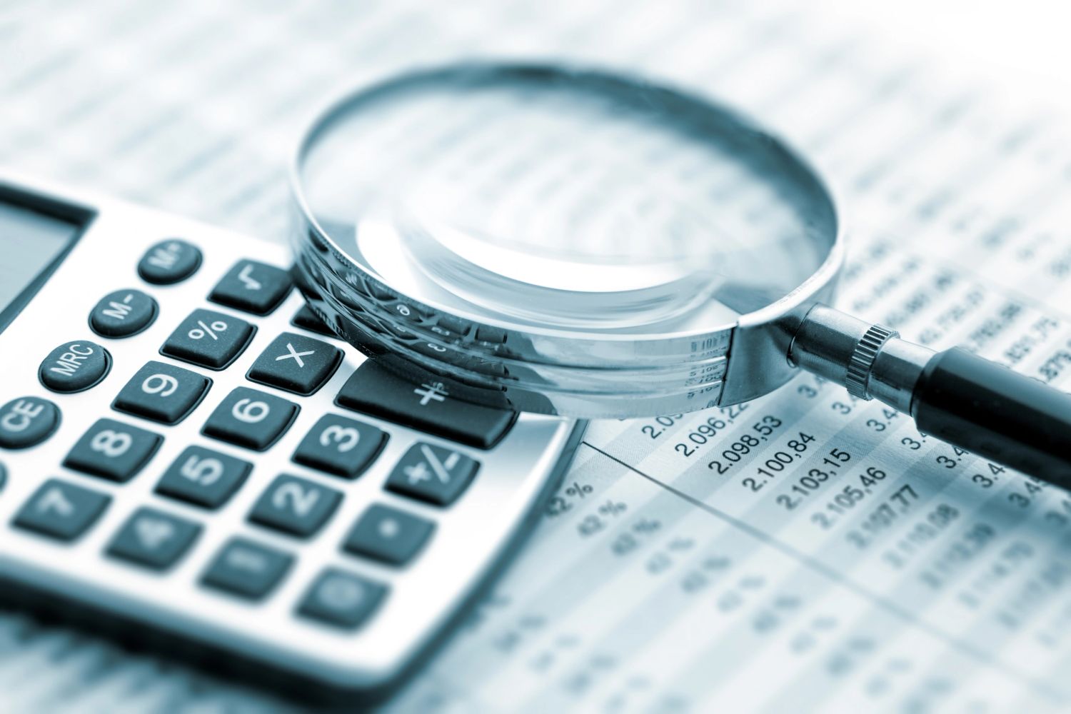 PLP Accountancy Services LLC in Yonkers, NY