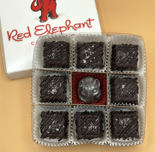 Concordia Red Elephant Chocolates in Mequon, WI (6)
