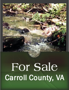Kyle Realty & Auction in Galax, VA (3)