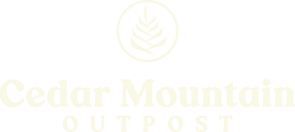 Cedar Mountain Outpost in Brevard, NC (3)