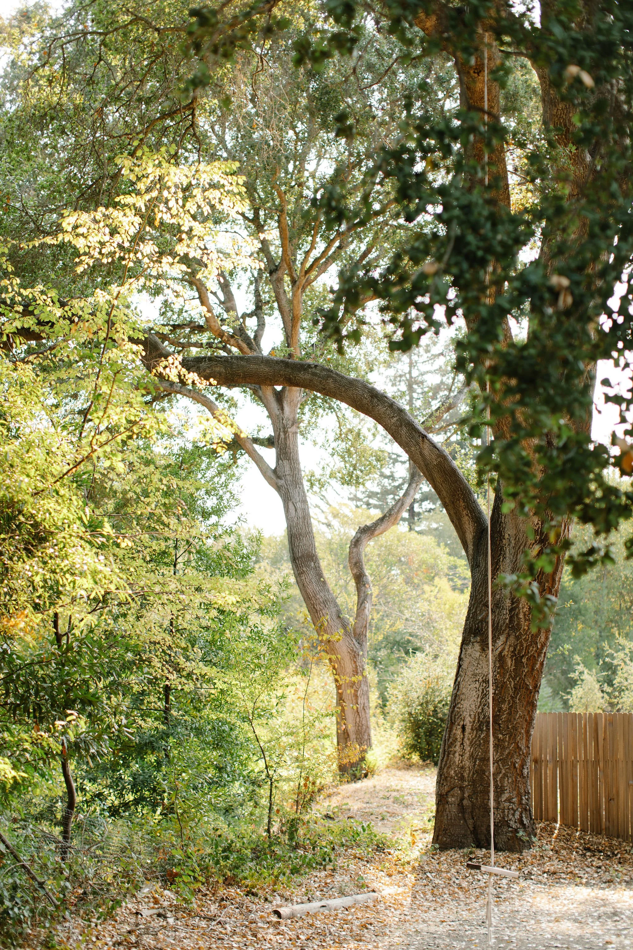 BASH Salon in Portola Valley, CA (2)