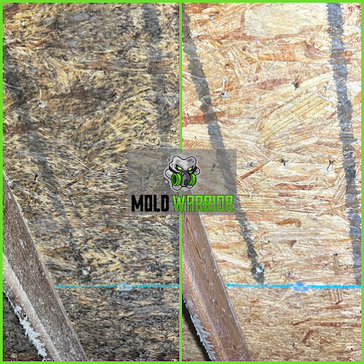 Mold Warrior in Unionville Center, OH (4)