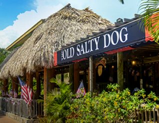 The Old Salty Dog in Sarasota, FL (5)