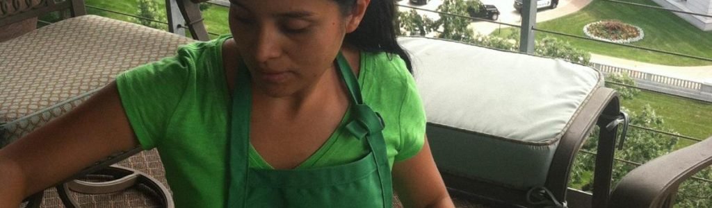 Green Cleaners LLC in Madison, WI (4)