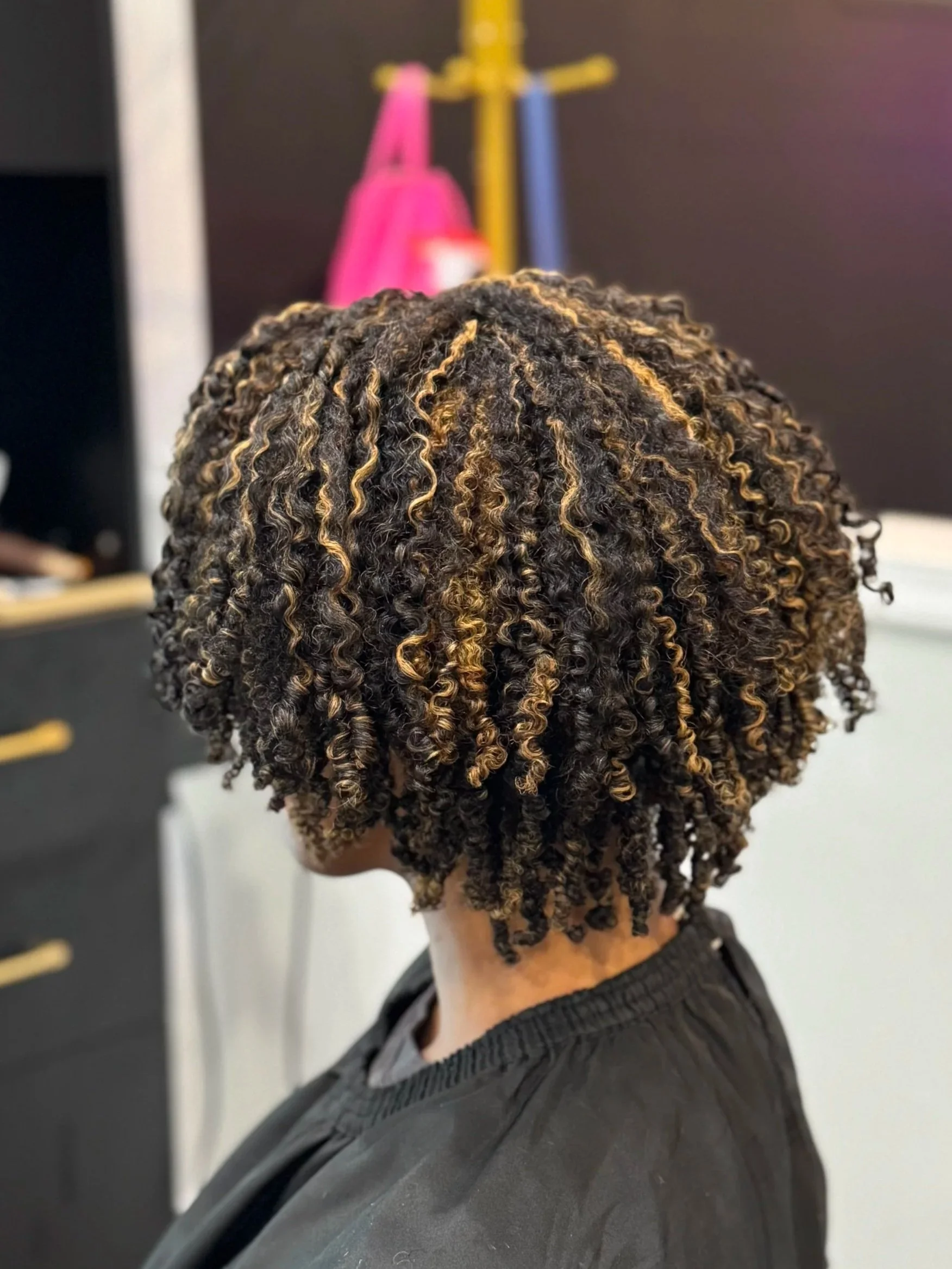 The Mane Oasis in Richmond, VA (5)