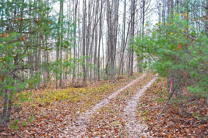 Hope Cunningham, Realtor® in Hillsboro, WV (2)