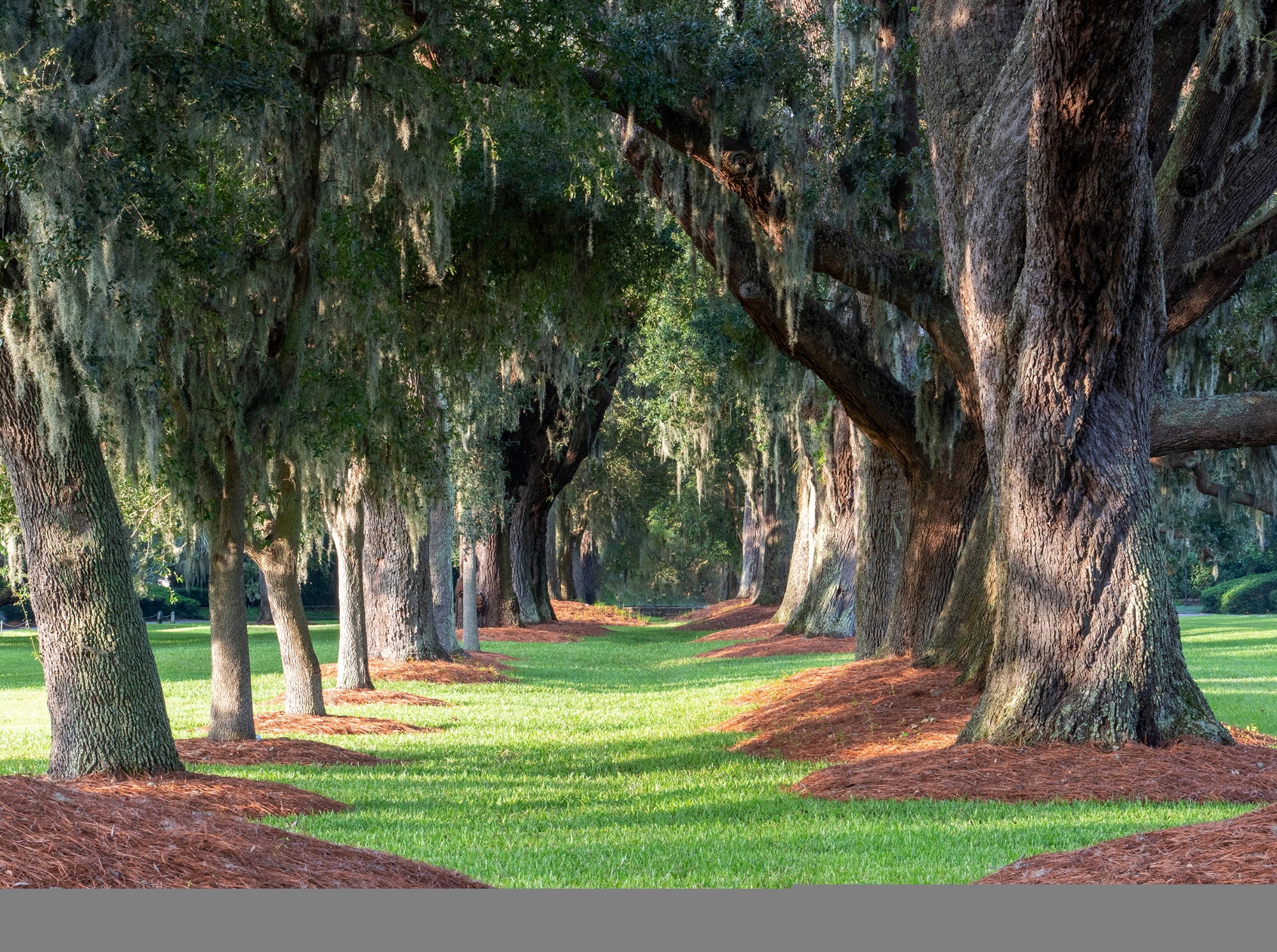 Signature Properties Group Inc. in St Simons Island, GA