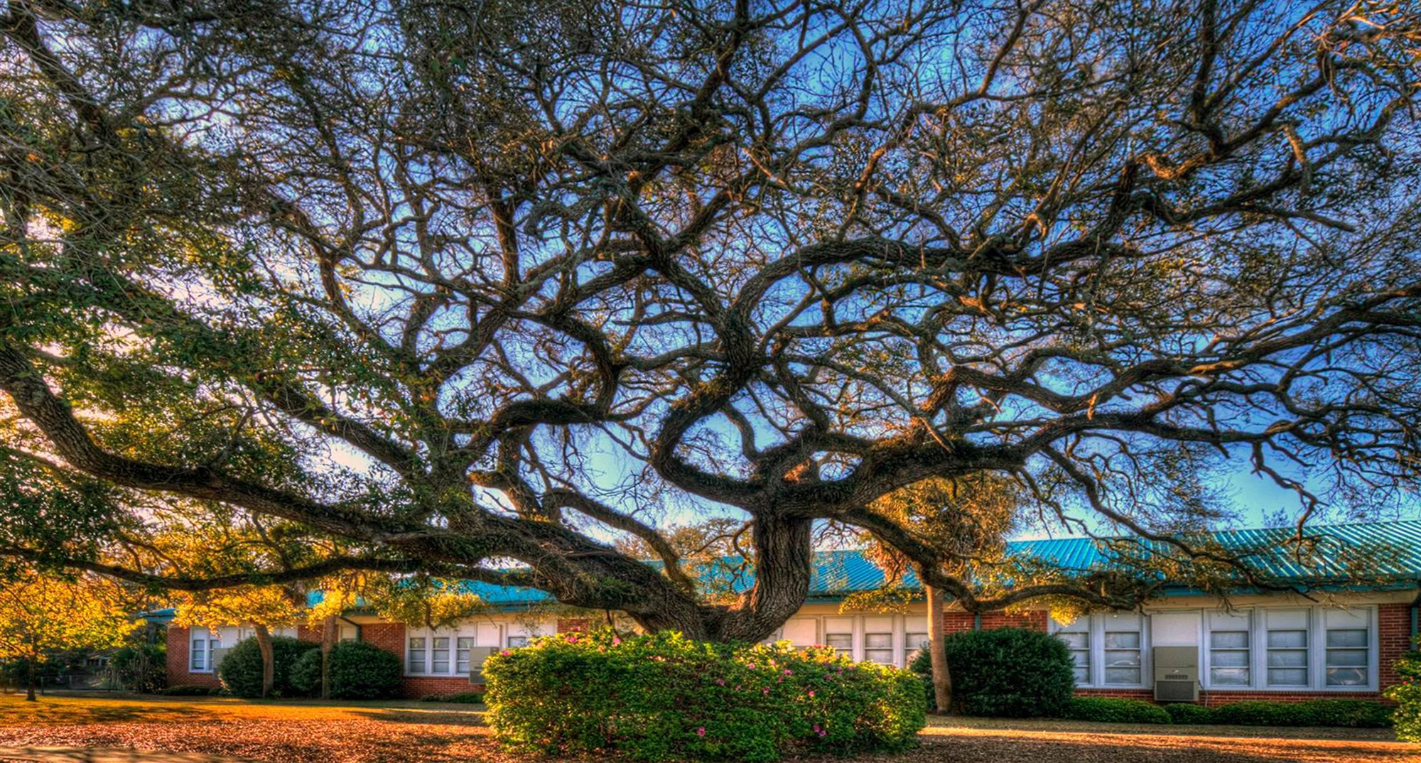 Signature Properties Group Inc. in St Simons Island, GA (2)