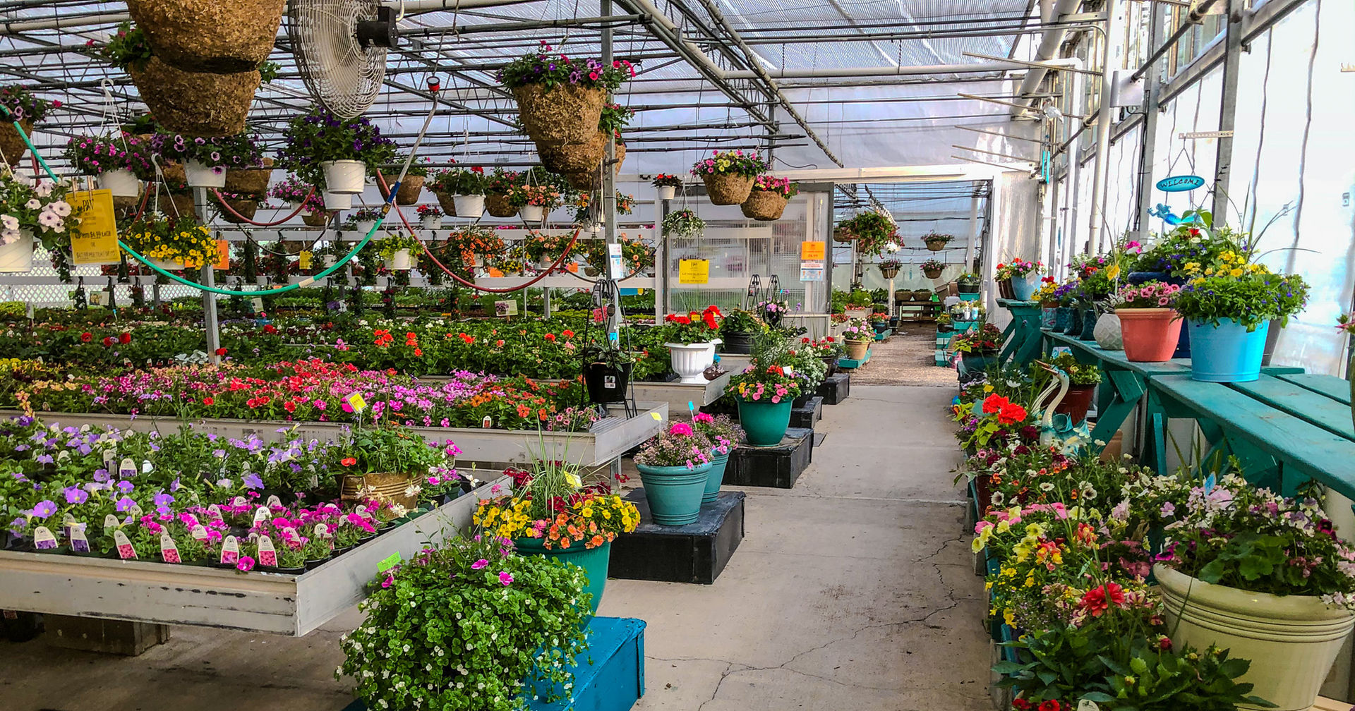 Four Peaks Greenhouse in Vermilion, OH