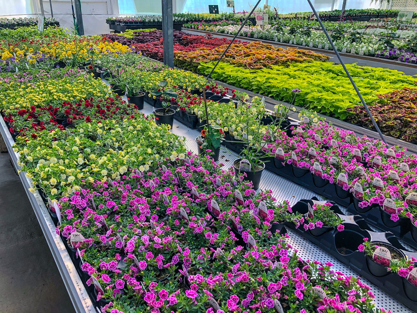 Four Peaks Greenhouse in Vermilion, OH (2)