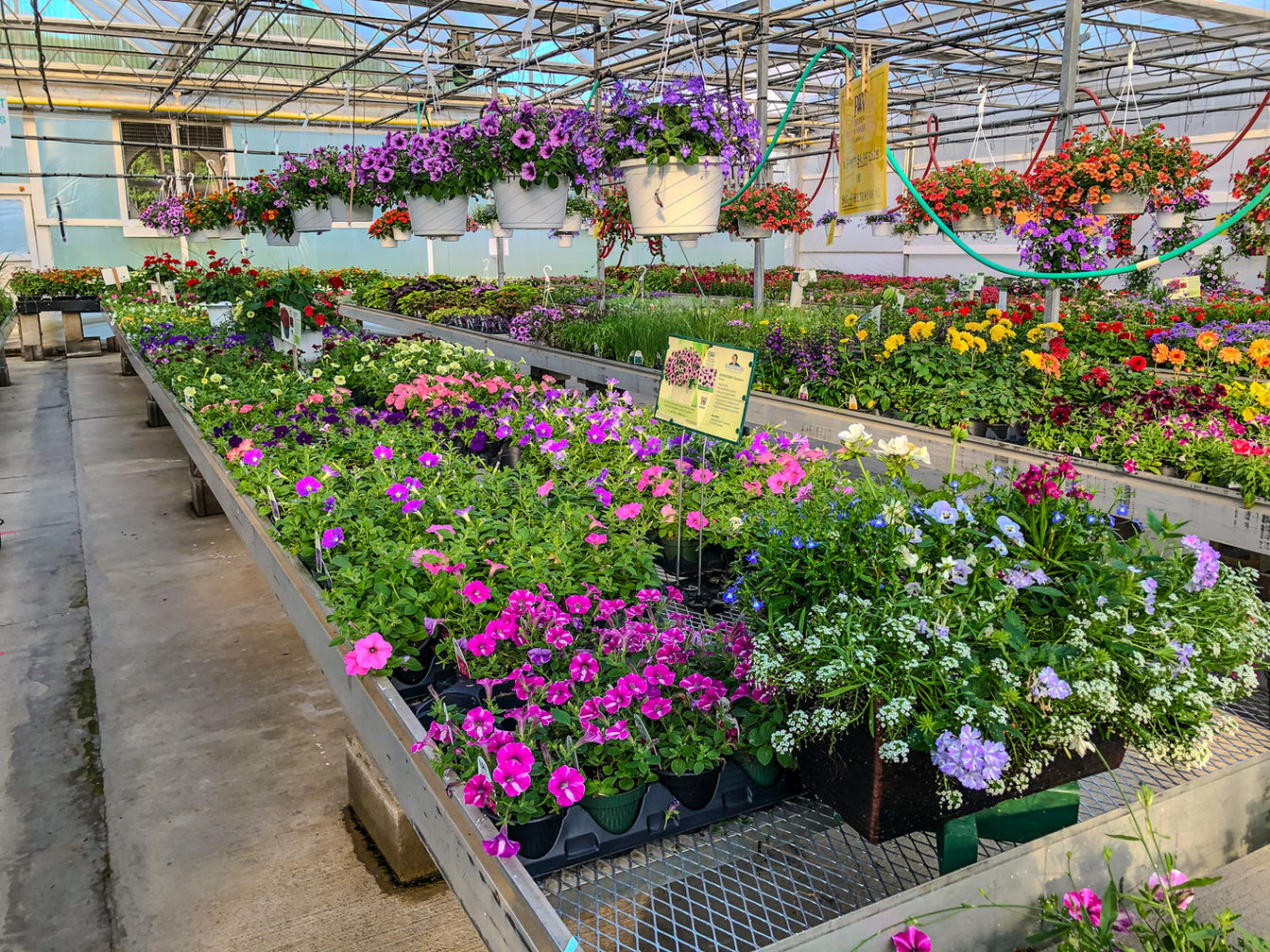 Four Peaks Greenhouse in Vermilion, OH (4)