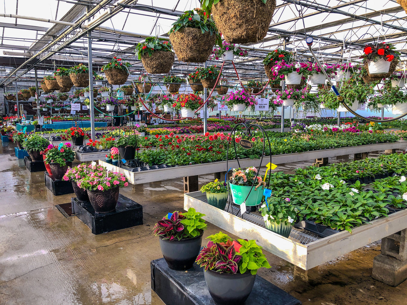 Four Peaks Greenhouse in Vermilion, OH (5)