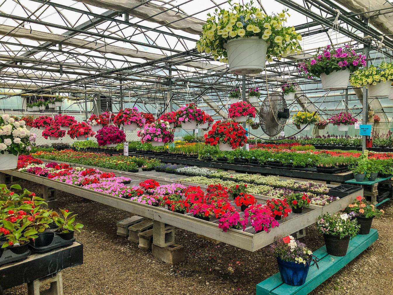 Four Peaks Greenhouse in Vermilion, OH (6)