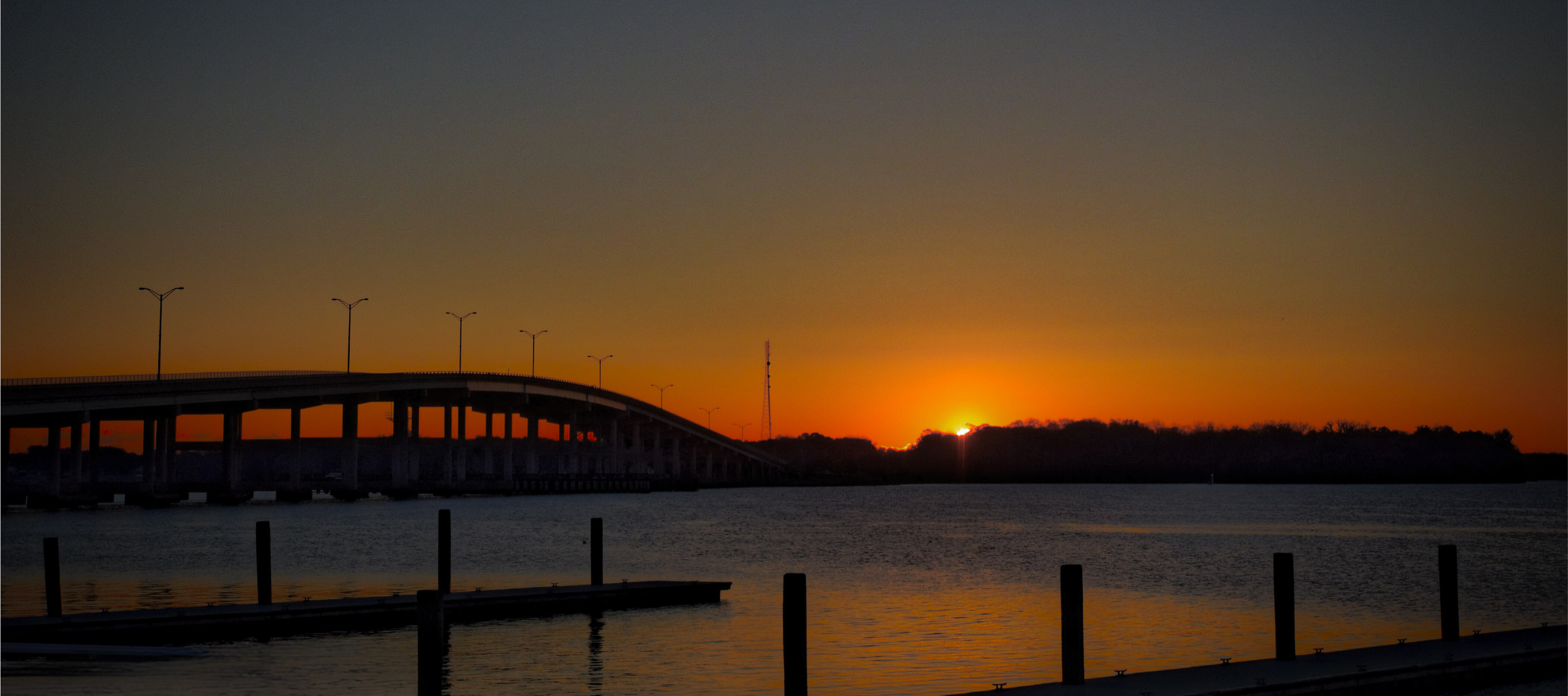Welaka Realty in Welaka, FL