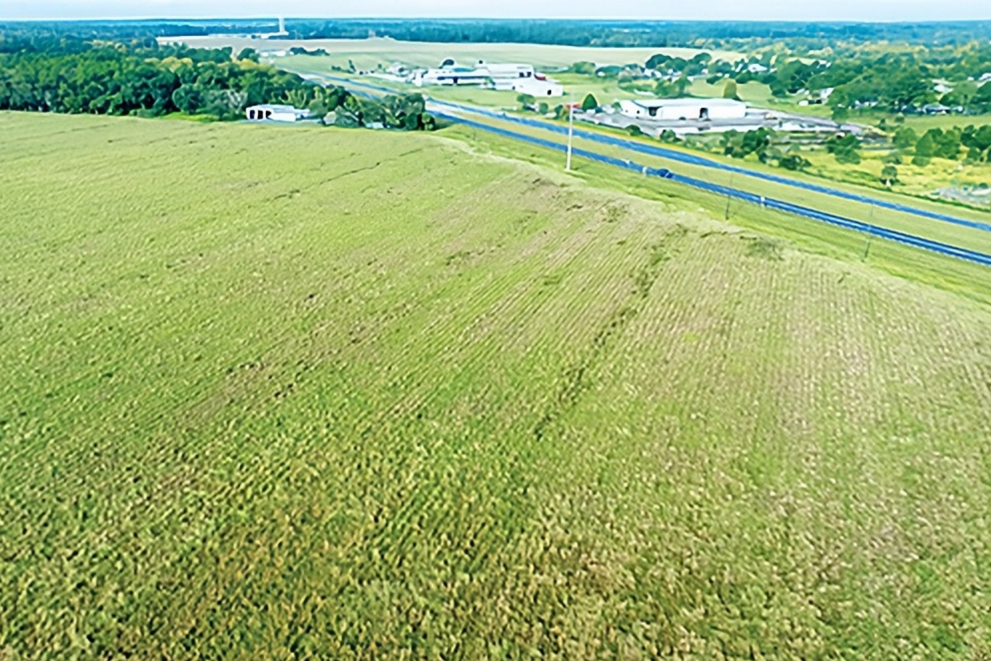 Welaka Realty in Welaka, FL (3)