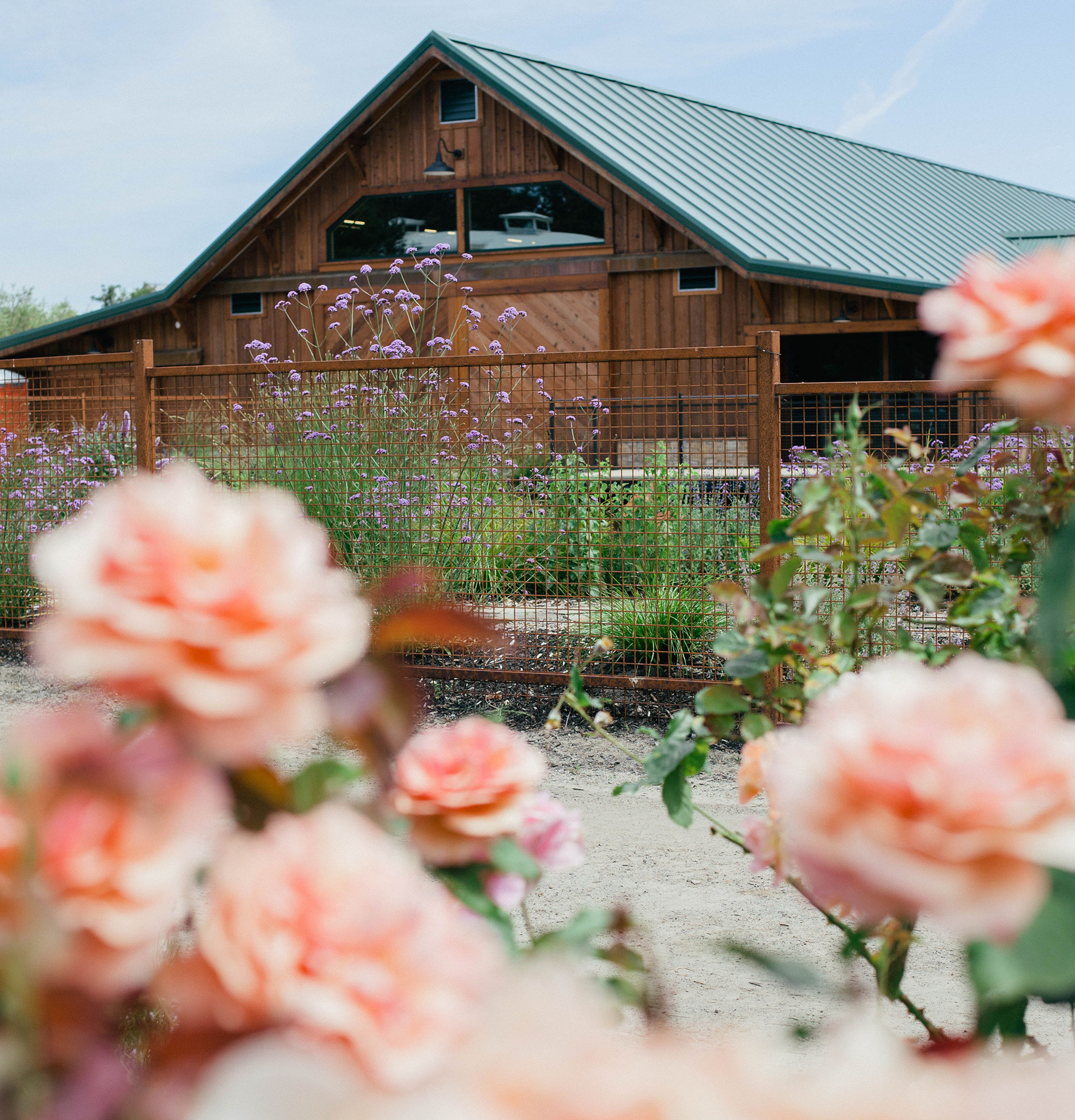 Bricoleur Vineyards in Windsor, CA (2)