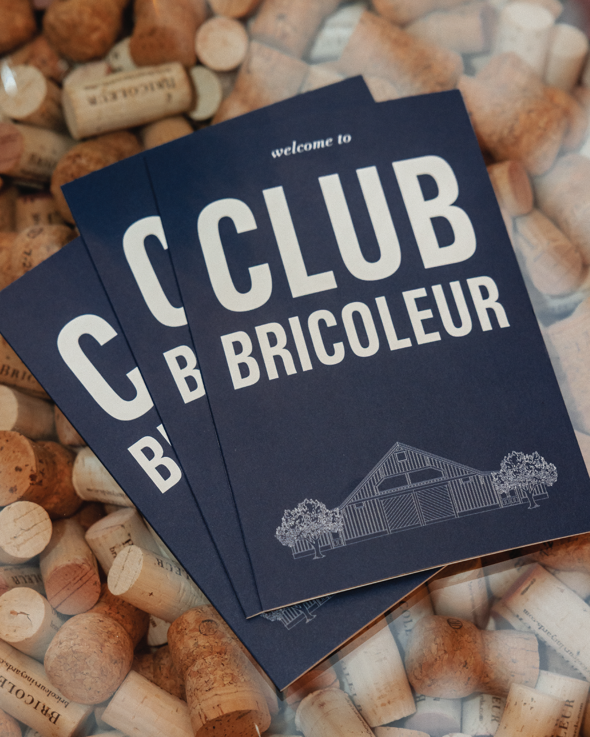 Bricoleur Vineyards in Windsor, CA (6)