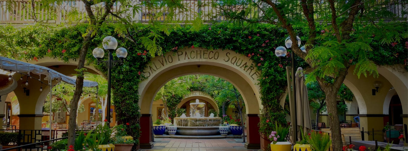 Bay Area Tax Services in Concord, CA (6)