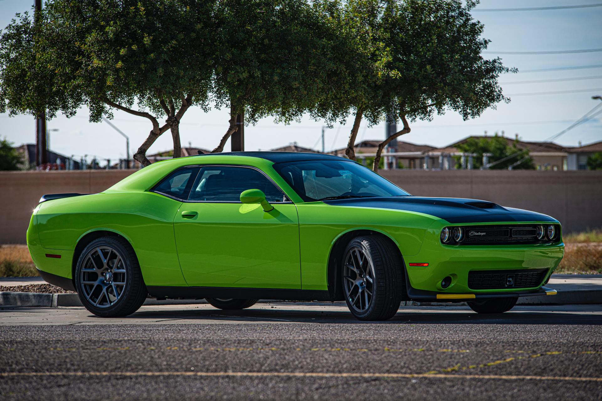 Auto Professionals in Santa Maria, CA (3)