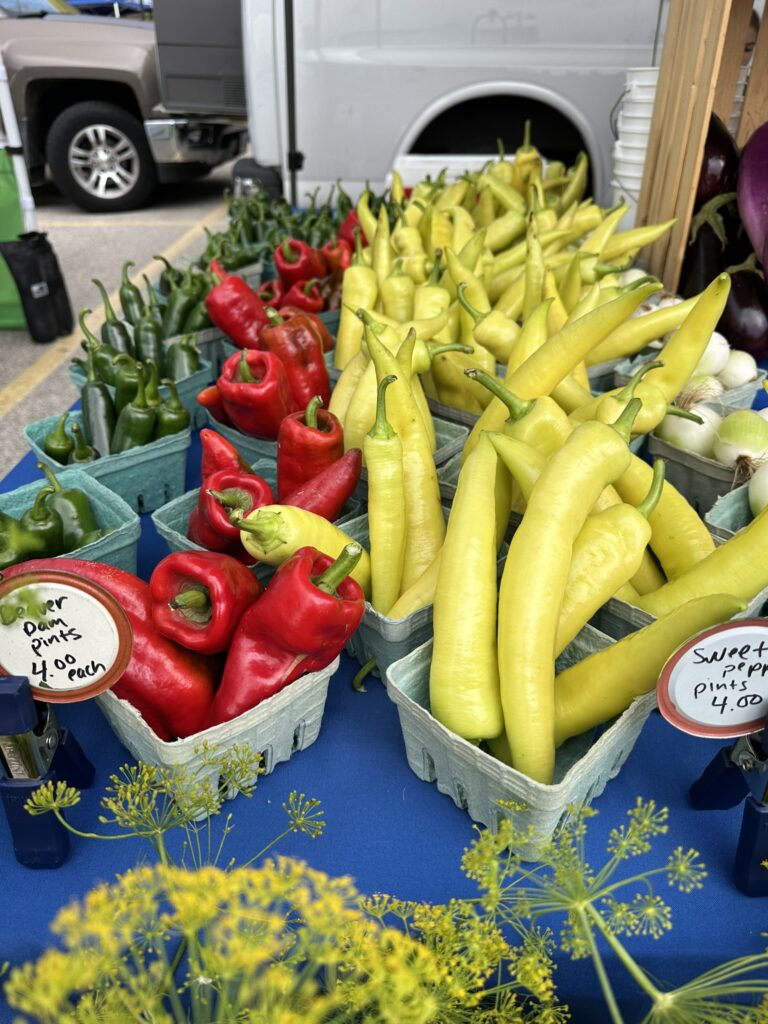 Oconomowoc Farmers Market in Oconomowoc, WI (4)