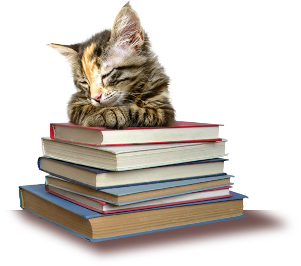 Cat's Cradle Books in Lewisham, NC (5)