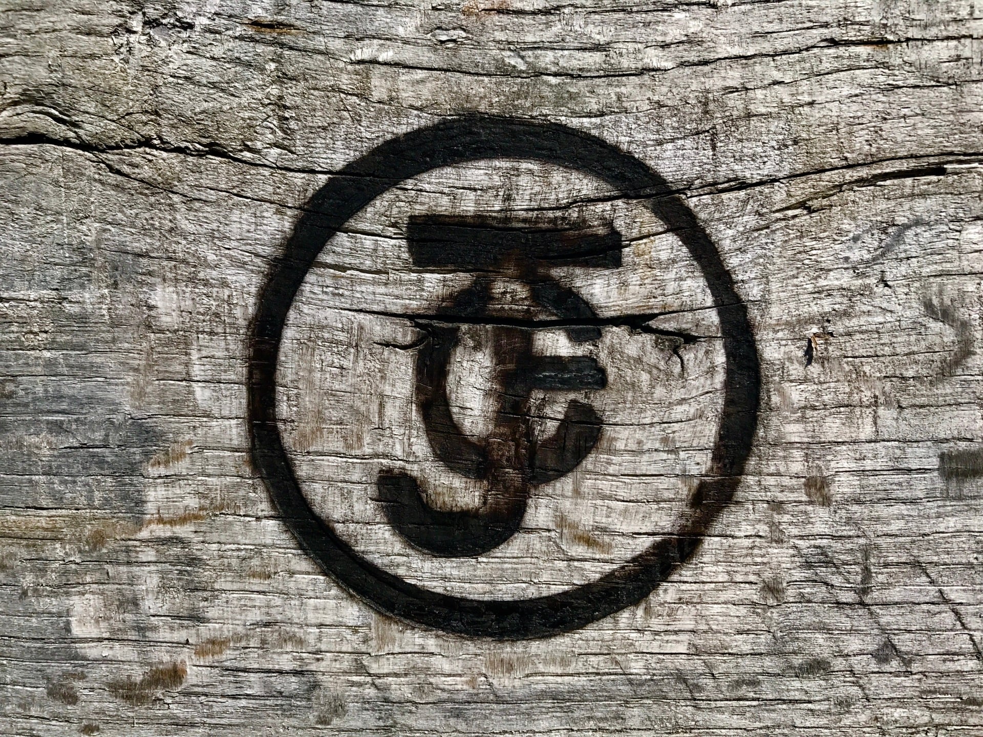 Jackson Farming Co in Autryville, NC