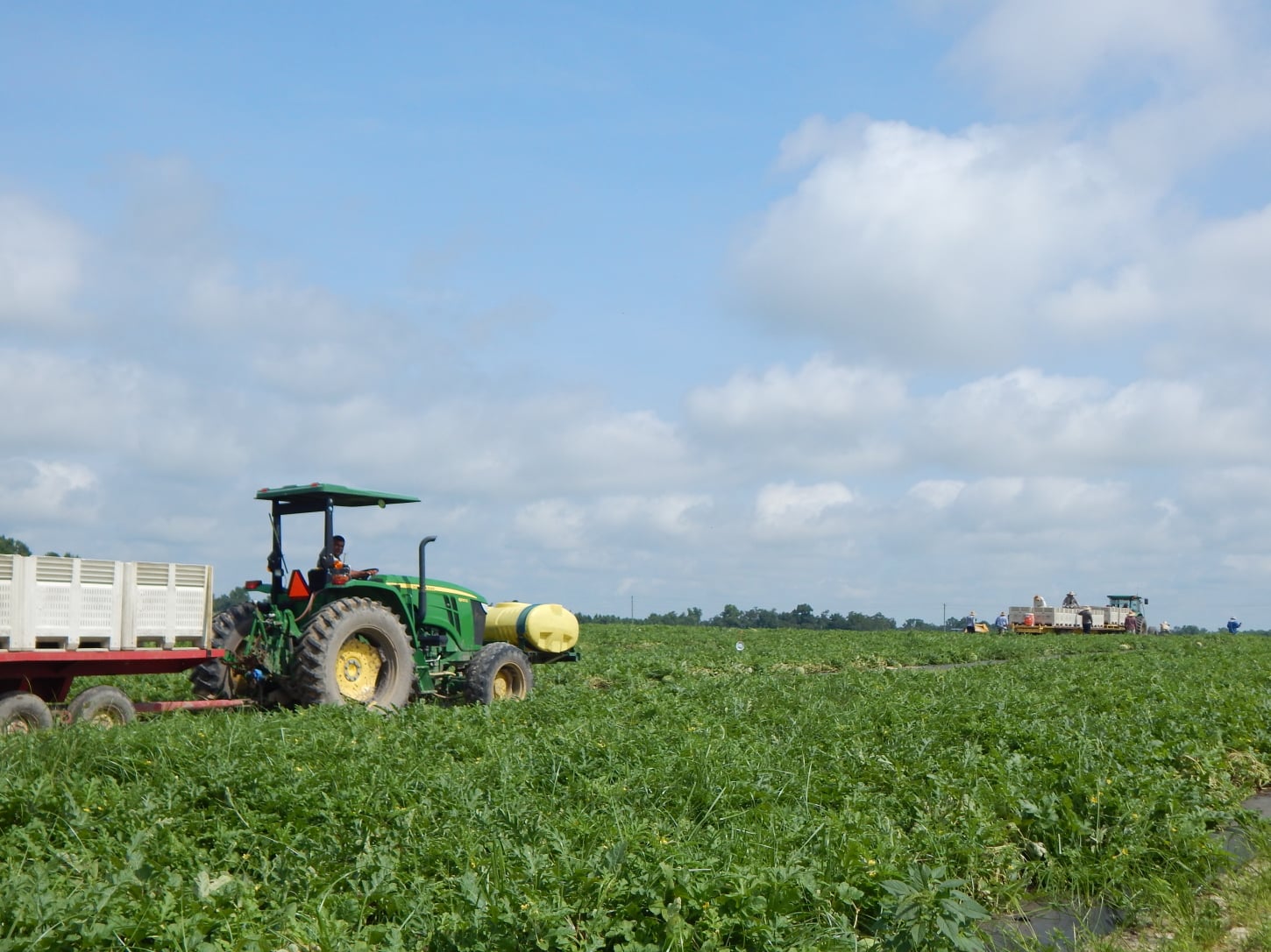 Jackson Farming Co in Autryville, NC (5)