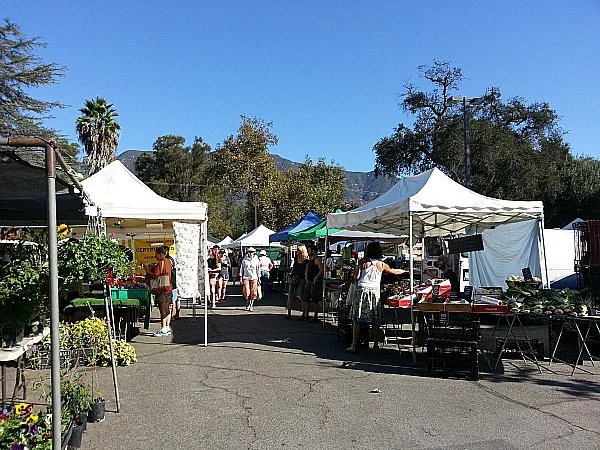 Ojai Valley Real Estate in Ojai, CA (2)