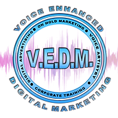 Voice Enhanced Digital Marketing in Dallas, TX (2)