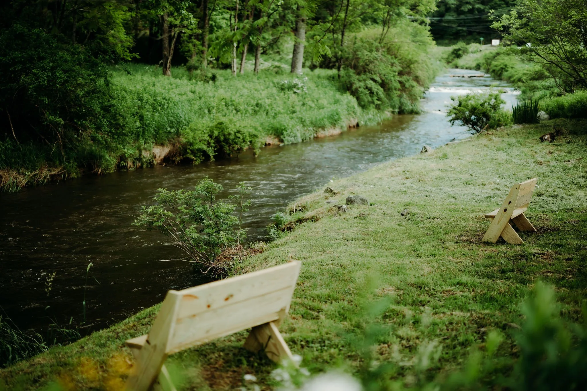 Birdies Coffee & Treats | Blowing Rock in Blowing Rock, NC (2)