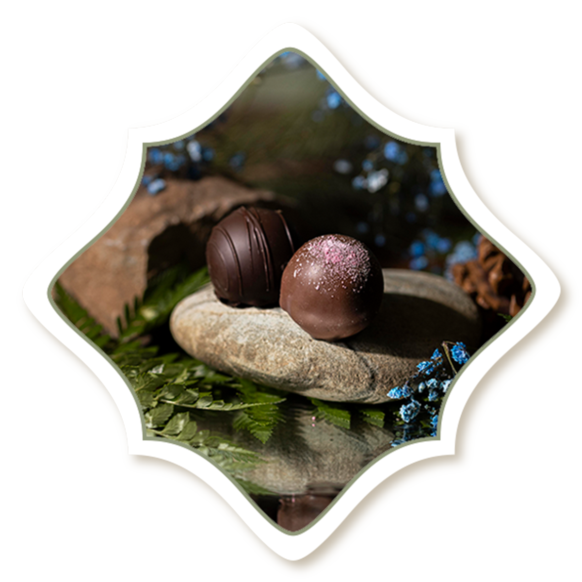 Rocky Mountain Chocolate Factory of Tulare, CA at the Outlets in Tulare, CA (2)