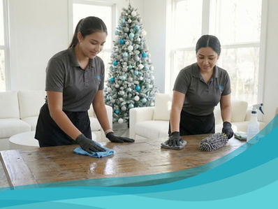 Lili Cleaning Services in St Johns, FL (2)