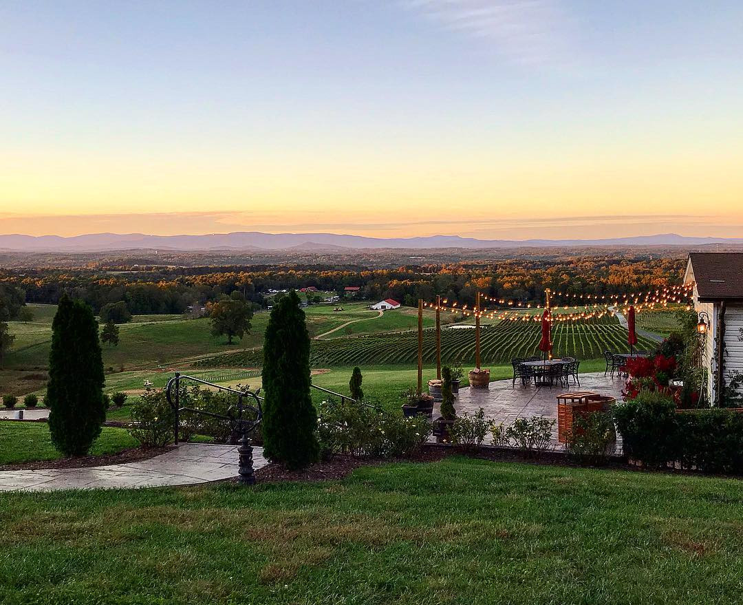 Piccione Vineyards in Ronda, NC (3)