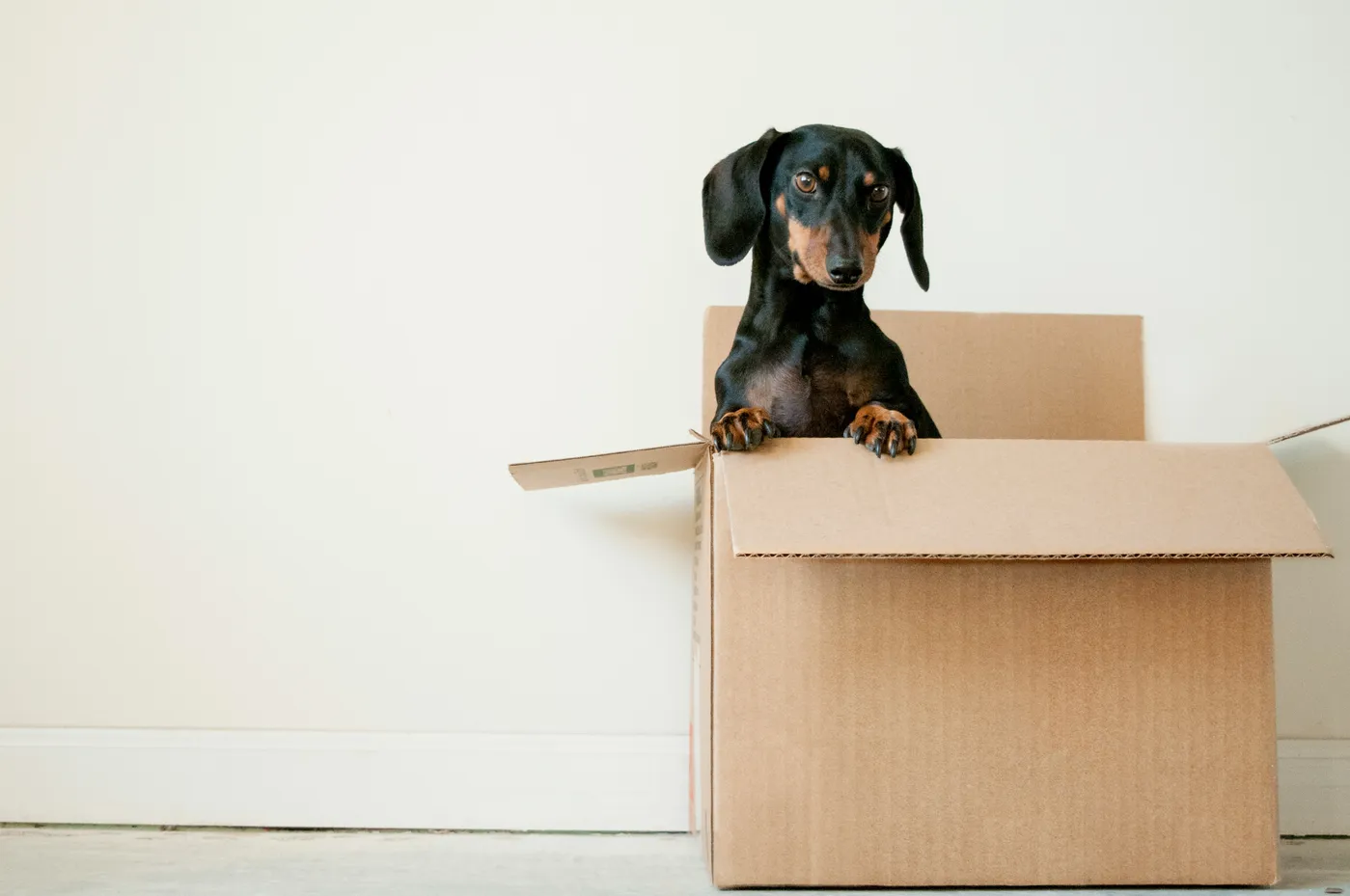 Clean Machine House Cleaning Services of San Diego in La Mesa, CA (5)
