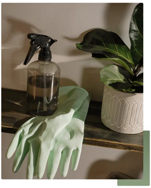 Clean Machine House Cleaning Services of San Diego in La Mesa, CA (6)