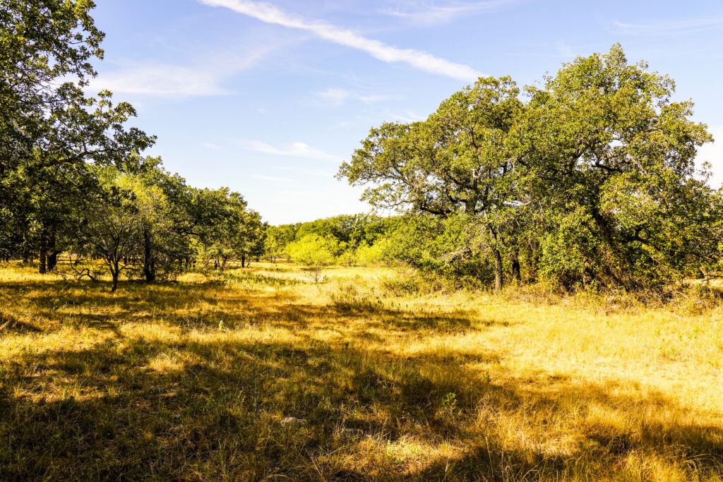 Maddox Realty in Jacksboro, TX