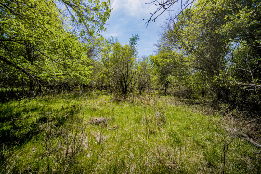 Maddox Realty in Jacksboro, TX (4)