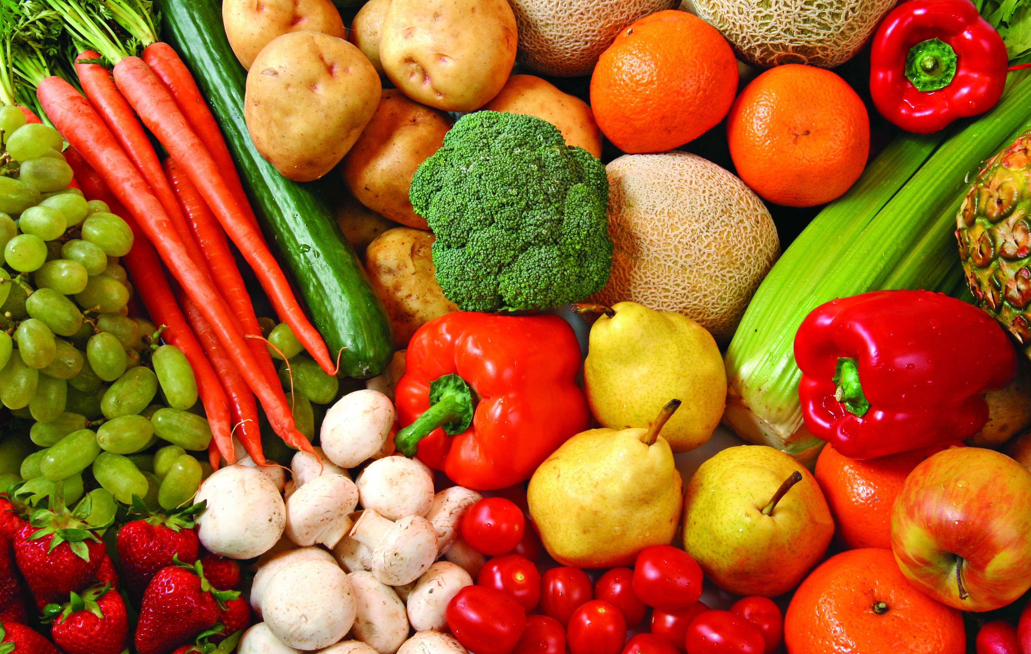 Trichilo Food Services in Carbondale, PA