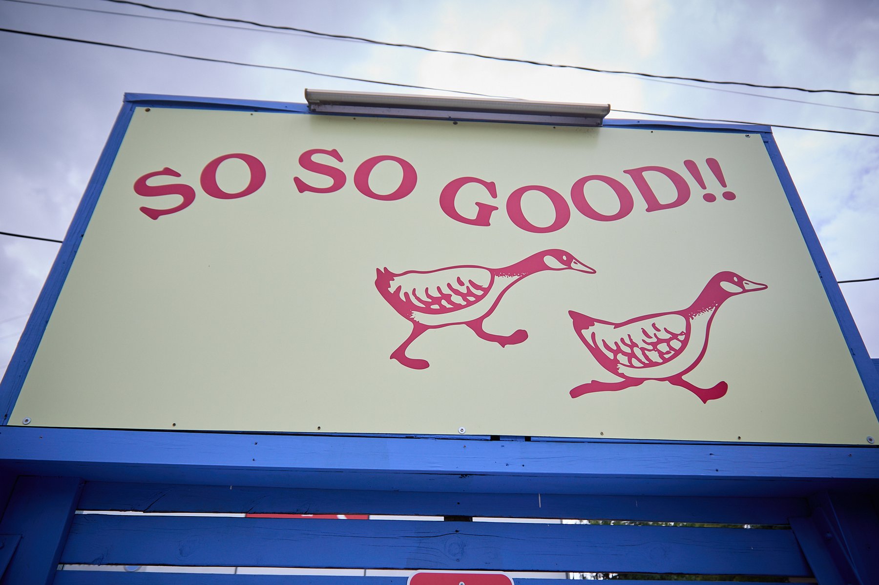 Two Goose in Austin, TX (4)