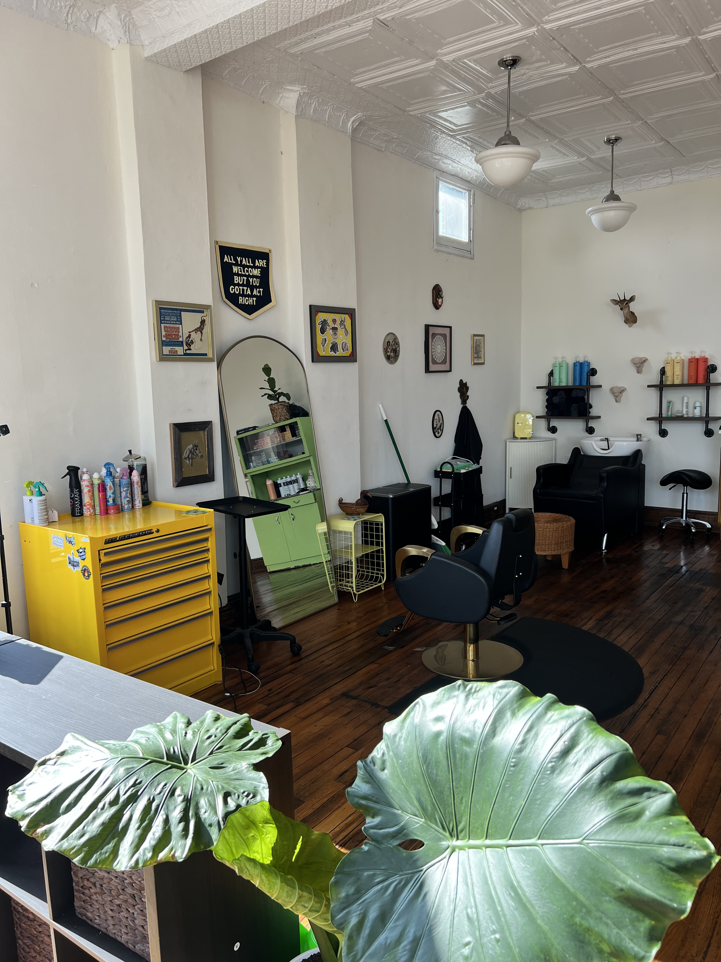 Misfit Beauty Club in Roanoke, VA