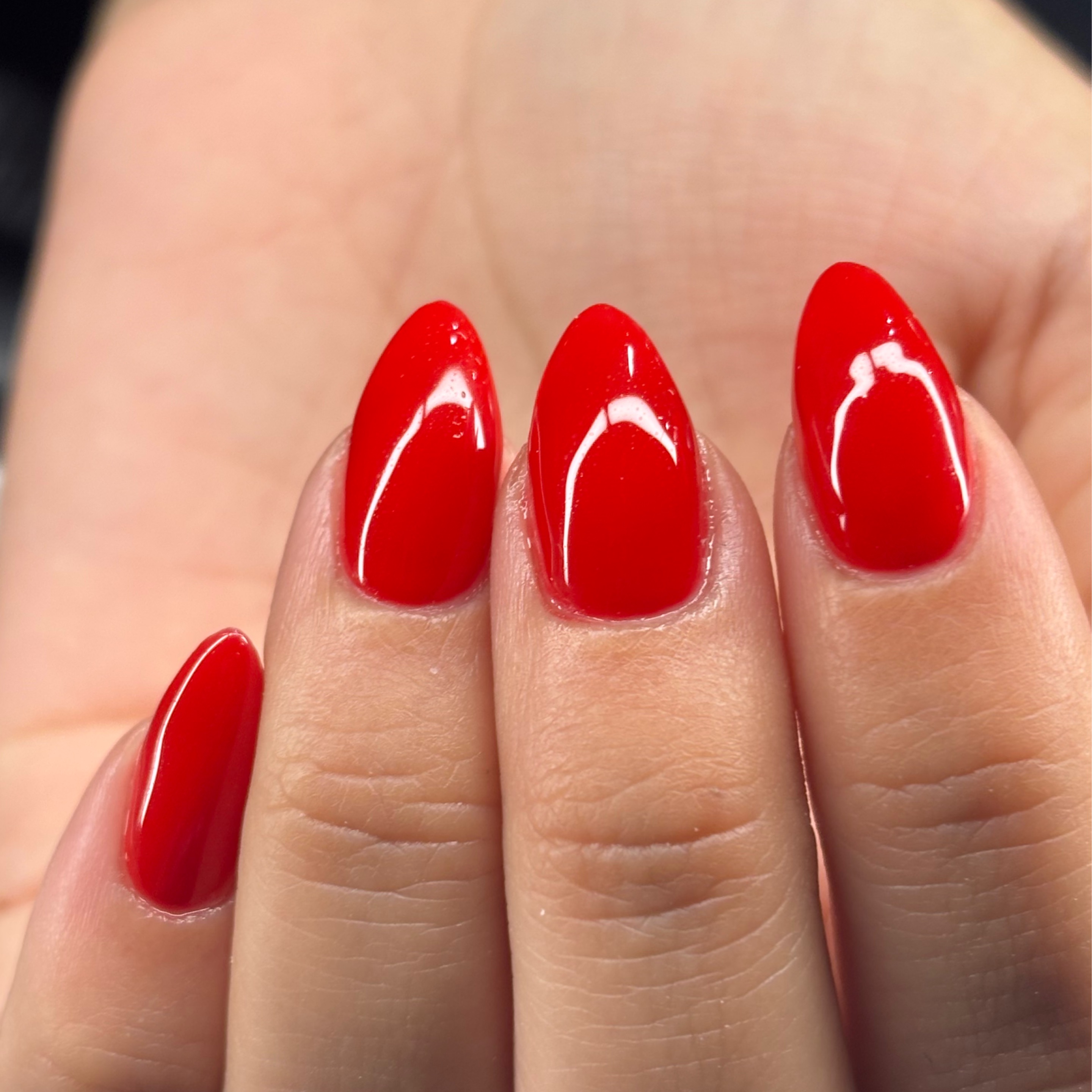 slvdmnails in Sanford, FL