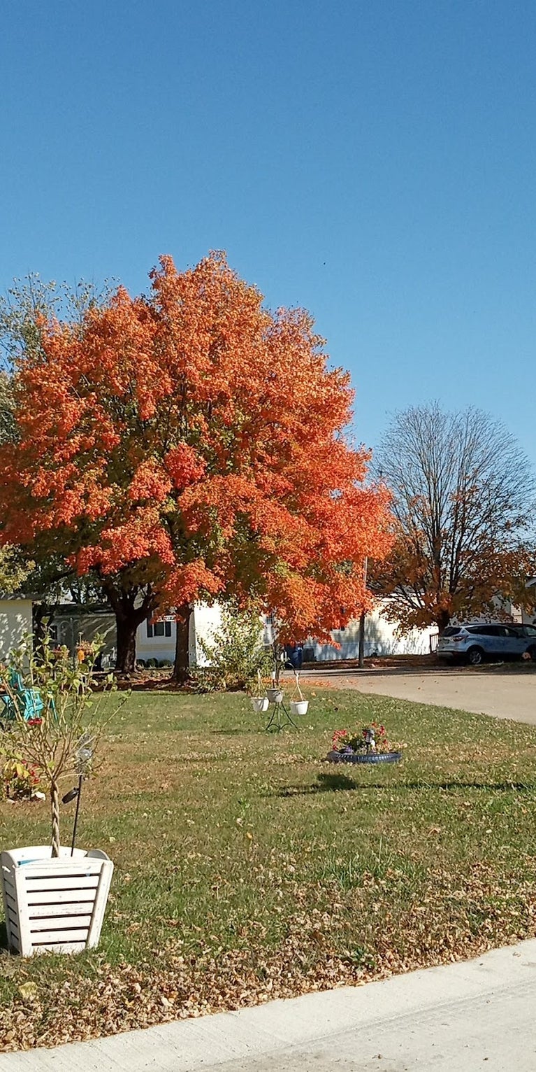 Sean Daniels - Daniels Real Estate in Indianapolis, IN (4)