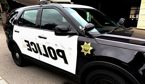 Blackhawk Mobile Detailing - BMD in Danville, CA (3)