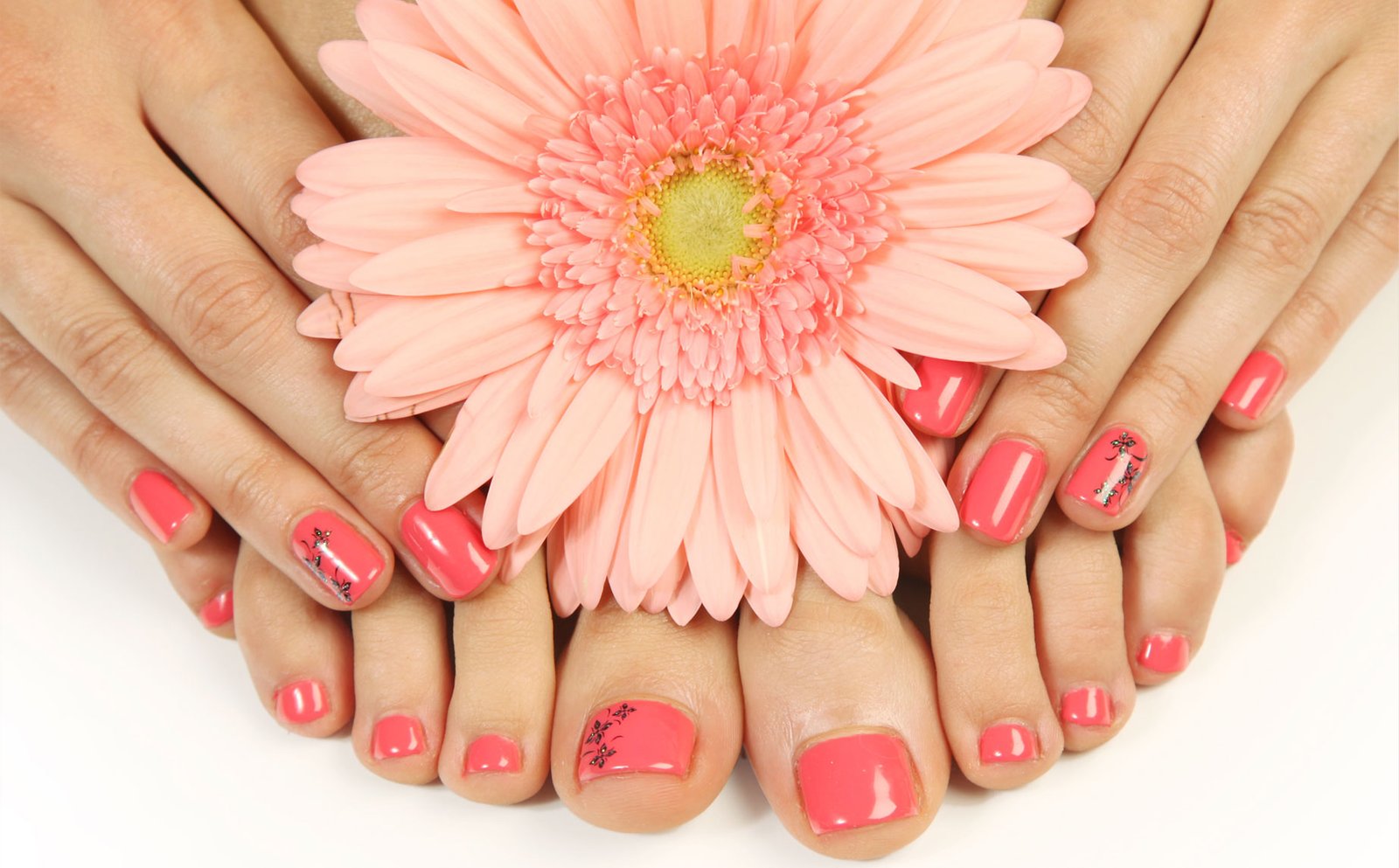 New Look Nails in Sausalito, CA (3)