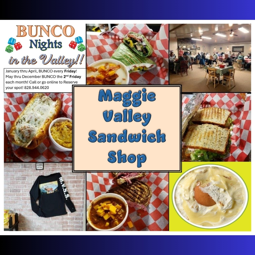 Maggie Valley Sandwich Shop in Maggie Valley, NC (3)