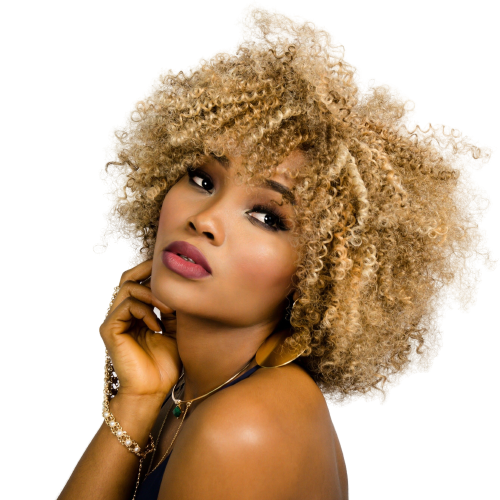 Black Lotus Hair Company in Indianapolis, IN